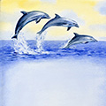 Delfine